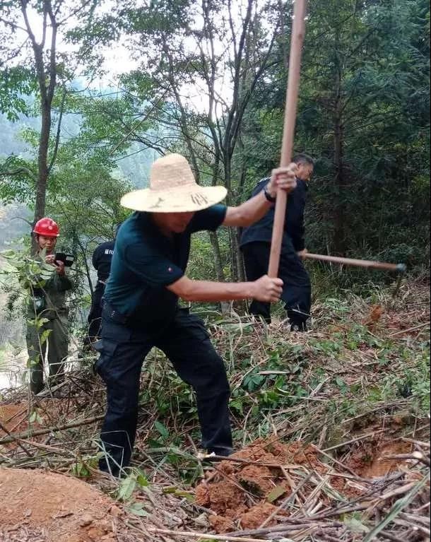干好每一天|青山掛白我復(fù)綠，無私奉獻金森人——資源保護部義務(wù)突擊隊工作記實