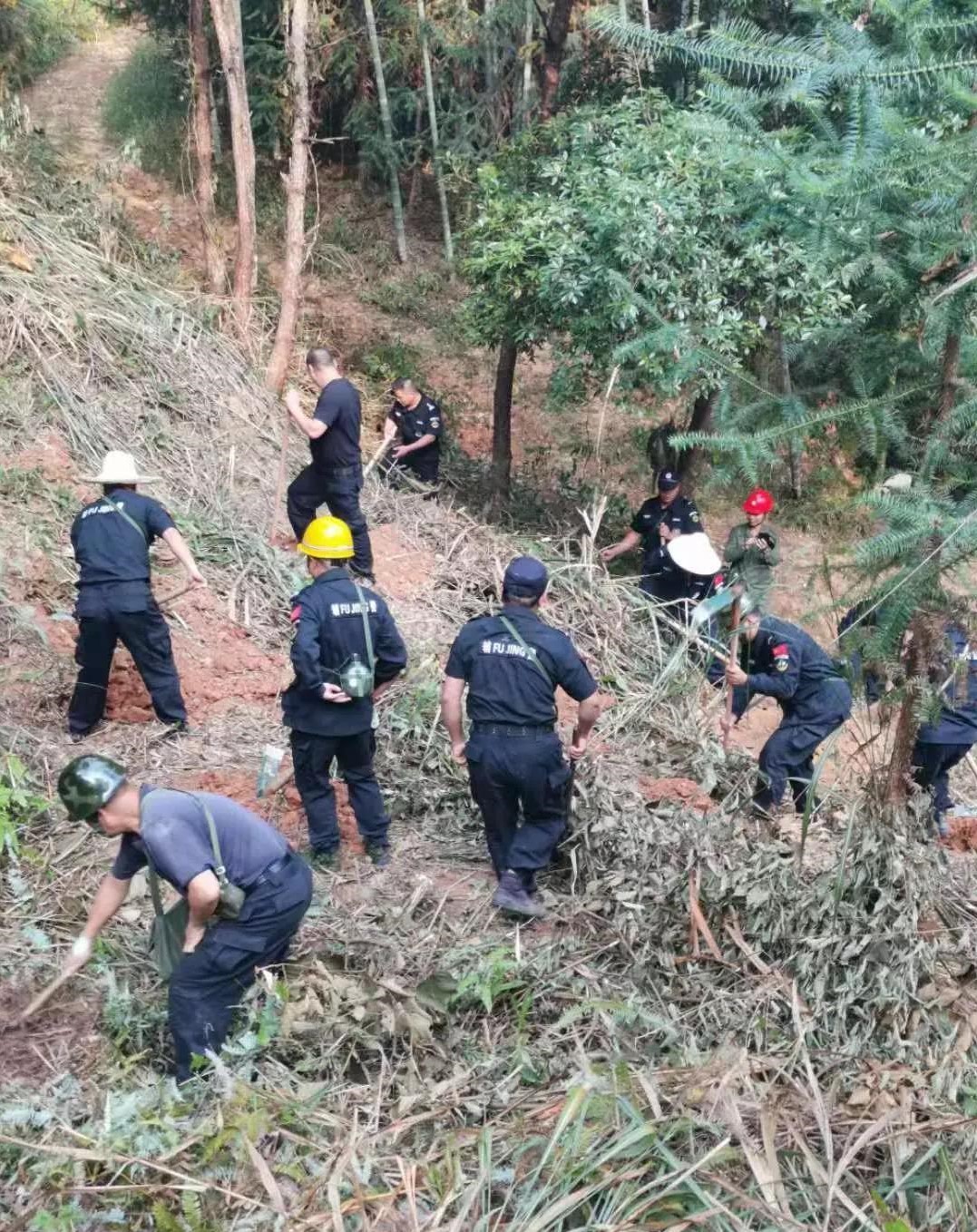干好每一天|青山掛白我復(fù)綠，無私奉獻金森人——資源保護部義務(wù)突擊隊工作記實