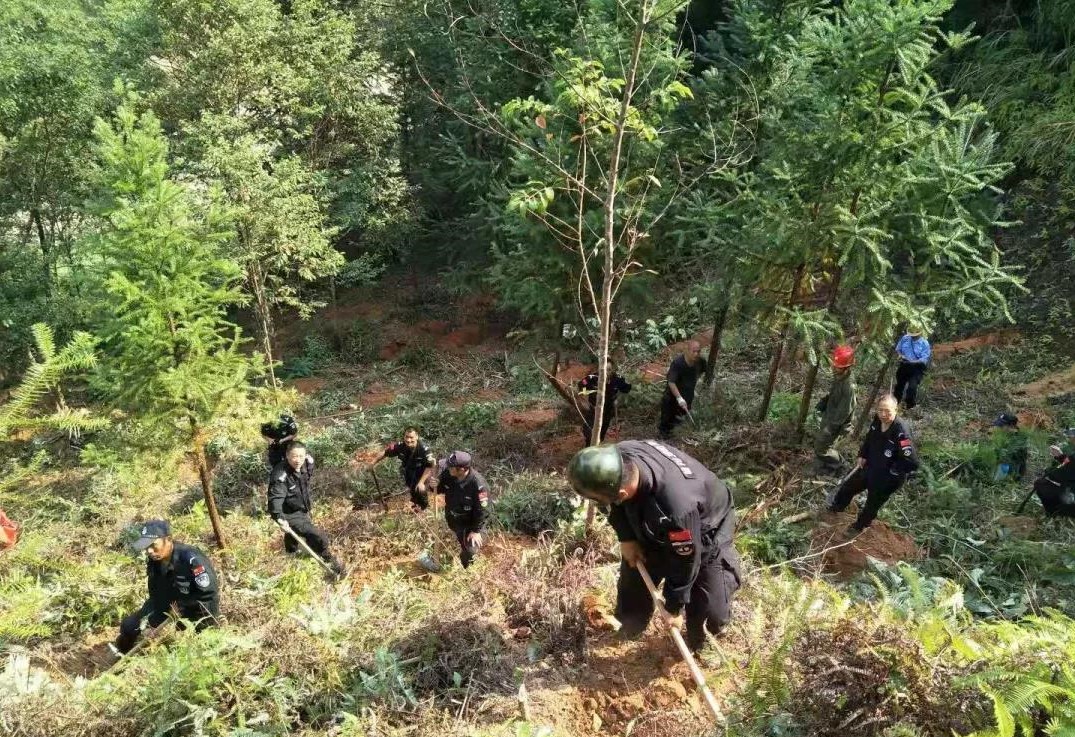 干好每一天|青山掛白我復(fù)綠，無私奉獻金森人——資源保護部義務(wù)突擊隊工作記實