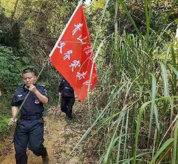 干好每一天|青山掛白我復(fù)綠，無私奉獻金森人——資源保護部義務(wù)突擊隊工作記實