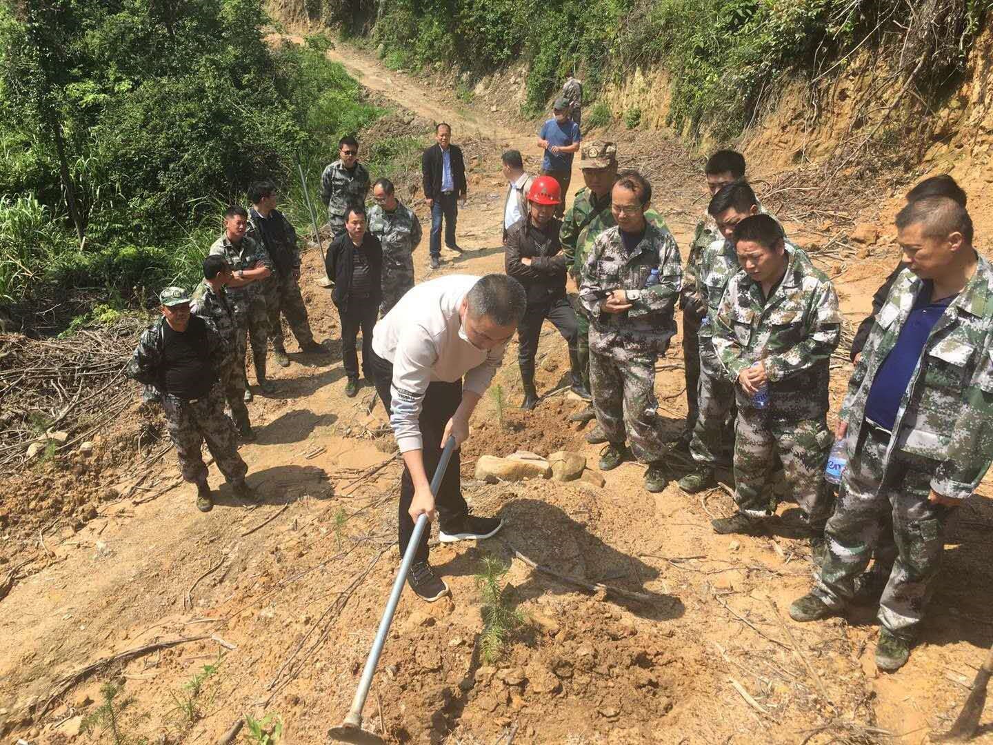 福建金森召開幼林撫育現(xiàn)場會(huì)